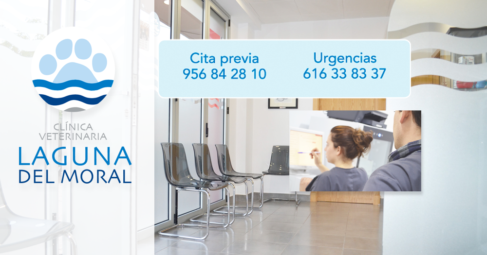 CLÍNICA VETERINARIA LAGUNA DEL MORAL