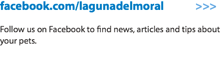 facebook.com/lagunadelmoral >>> Follow us on Facebook to find news, articles and tips about your pets. 